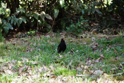 Прикрепленное изображение: DSC02463-1.jpg